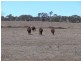 Lot/2 Orchard Road, Elbow Valley QLD 4370