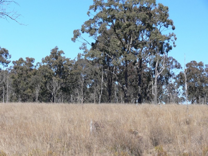 Lot/2 Orchard Road, Elbow Valley QLD 4370