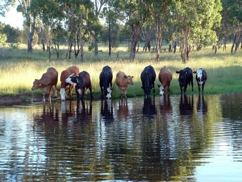 730 Glenvale Road, Warwick QLD 4370