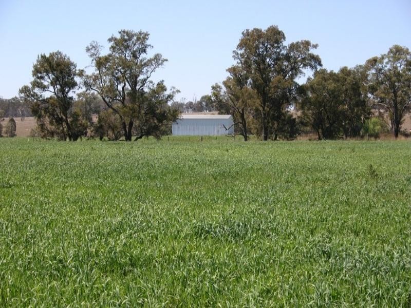 Warwick QLD 4370