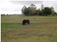 34 Campbell Road, Warwick QLD 4370
