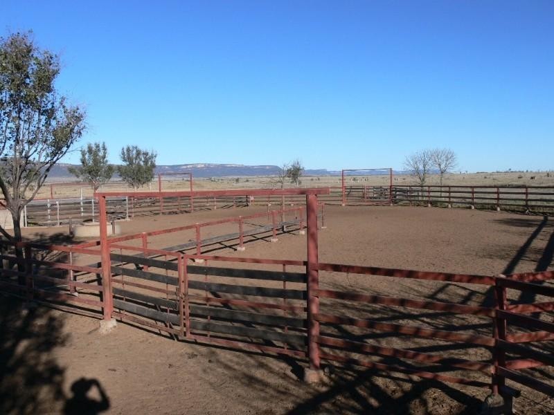 7018-7043 Arcadia Valley Road, Injune QLD 4454