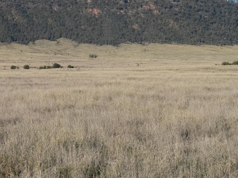 7018-7043 Arcadia Valley Road, Injune QLD 4454