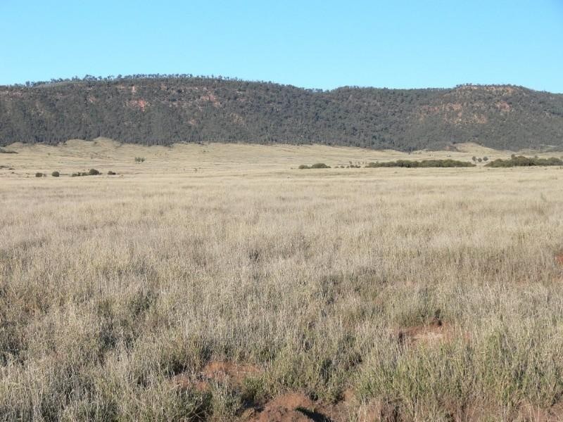 7018-7043 Arcadia Valley Road, Injune QLD 4454