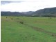 0 Emu Creek Road, Emu Vale QLD 4371