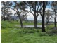 Freestone QLD 4370