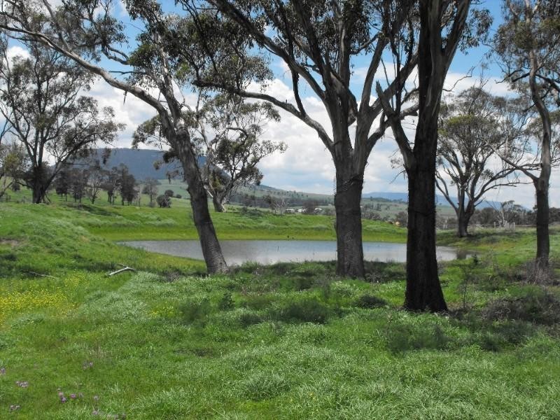 Freestone QLD 4370