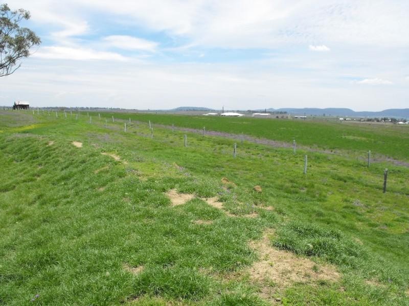 Freestone QLD 4370