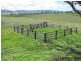 Freestone QLD 4370