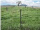 Freestone QLD 4370