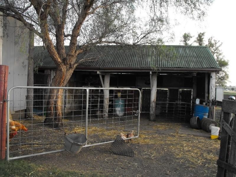 Warwick QLD 4370