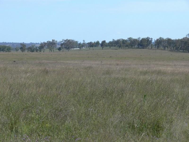 555 Derreen Road, Murrays Bridge QLD 4370