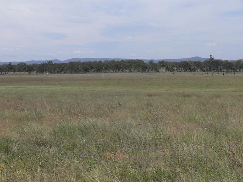 555 Derreen Road, Murrays Bridge QLD 4370