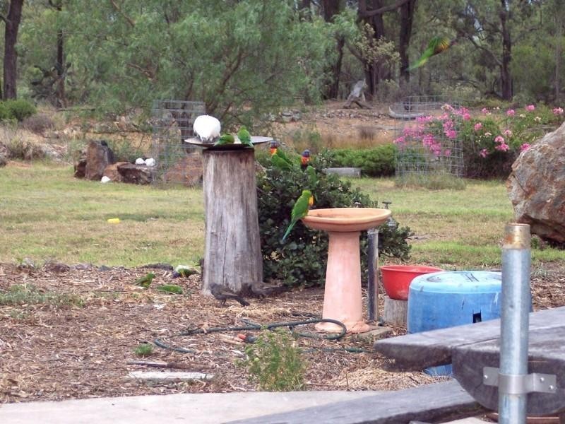 Warwick QLD 4370