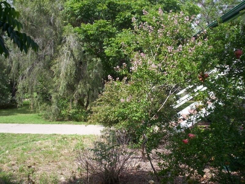 63 Lyons Street, Warwick QLD 4370