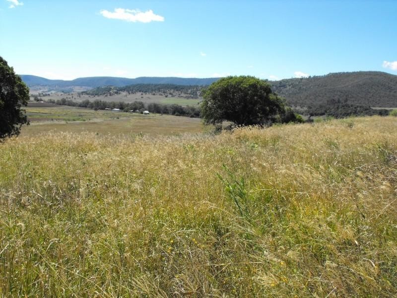 Warwick QLD 4370