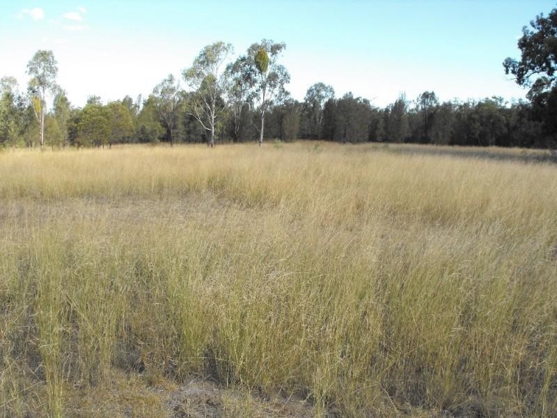 Warwick QLD 4370