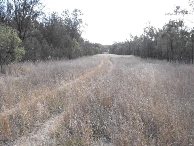 Warwick QLD 4370