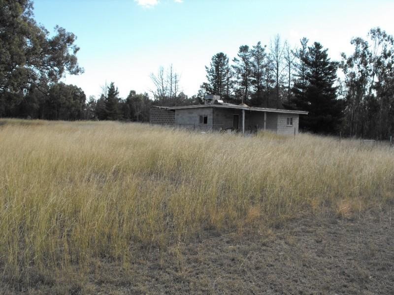 Warwick QLD 4370