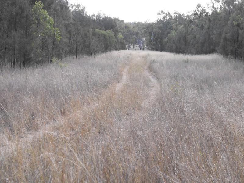 Warwick QLD 4370