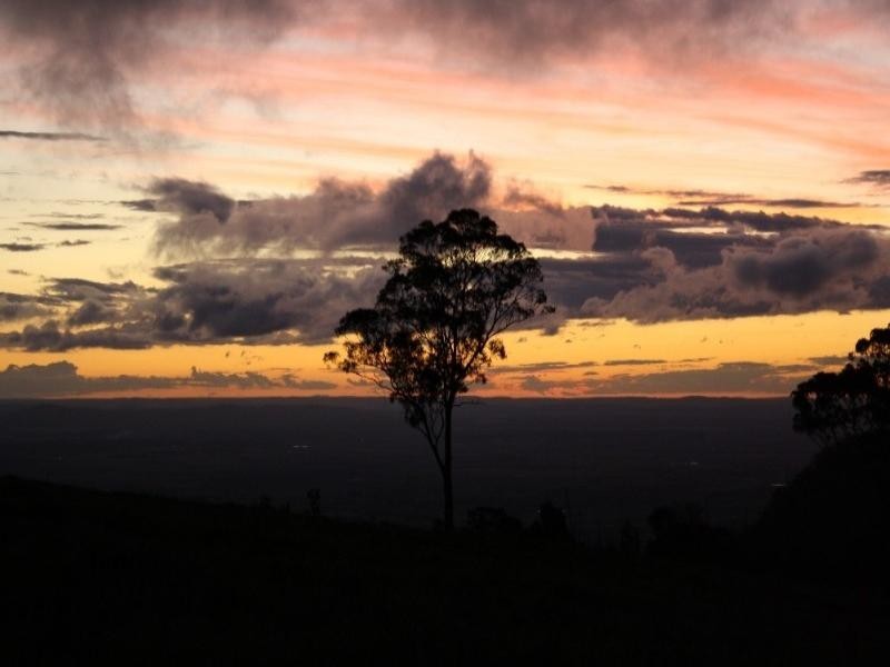 131 Sunday Plains Road, Mount Colliery QLD 4370