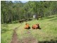 Warwick QLD 4370