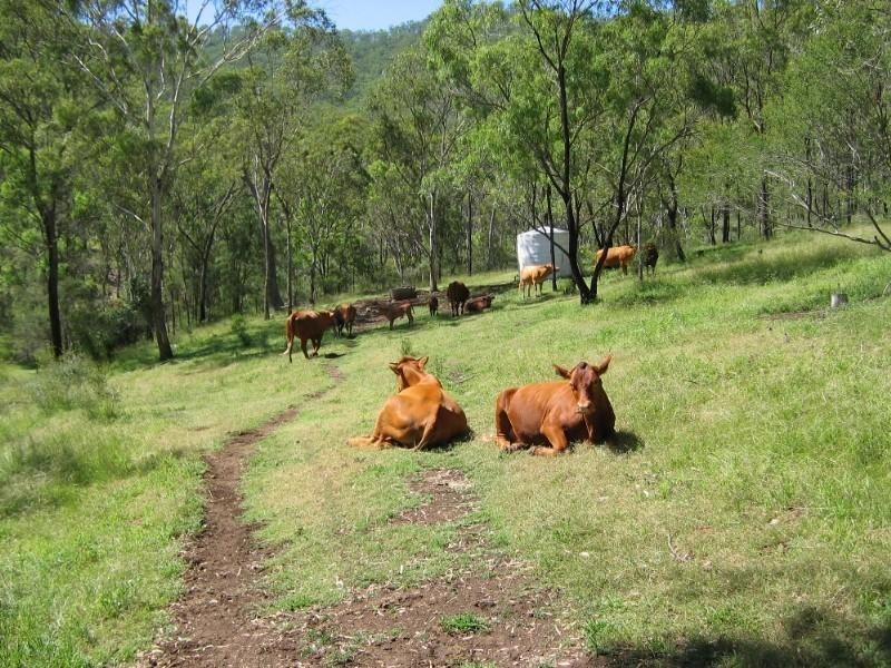 Warwick QLD 4370