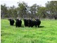 “Glenrae” Cullendore Road, Elbow Valley QLD 4370