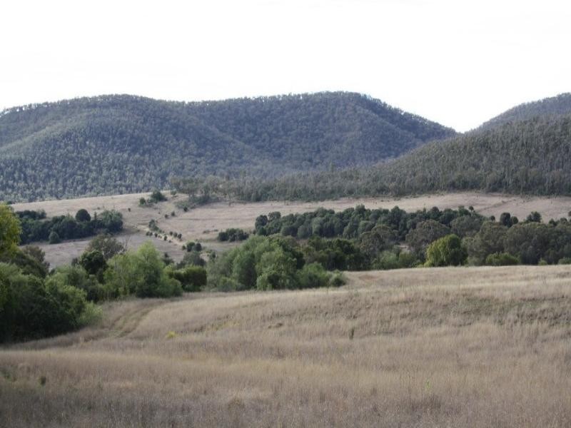 Lot 132 Coopers Gully Road, Yangan QLD 4371