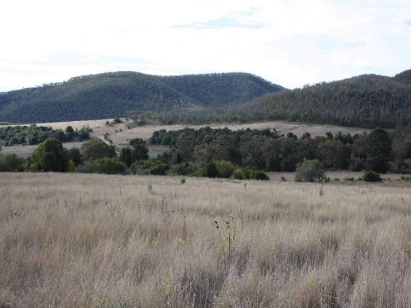 Lot 132 Coopers Gully Road, Yangan QLD 4371