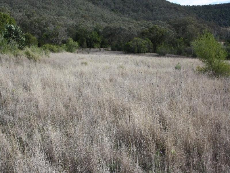 Lot 132 Coopers Gully Road, Yangan QLD 4371