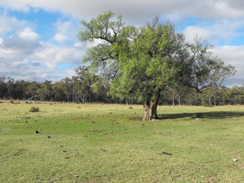 Lot 1 Freestone School Road, Warwick QLD 4370