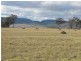 Lot 1 Freestone School Road, Warwick QLD 4370