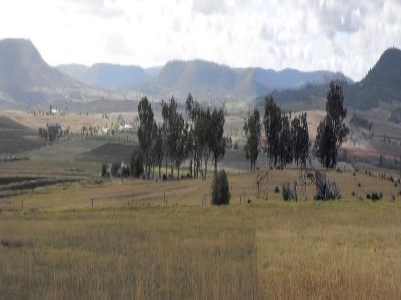 Lot 1 Freestone School Road, Warwick QLD 4370