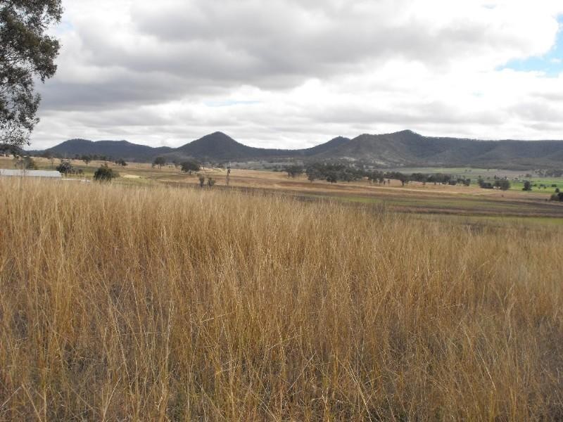 Lot 8, 45 Richards Road, Warwick QLD 4370