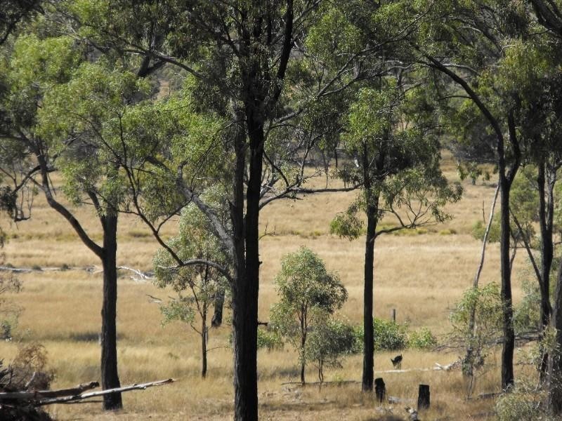 Warwick QLD 4370