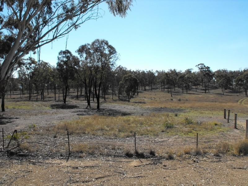 Warwick QLD 4370