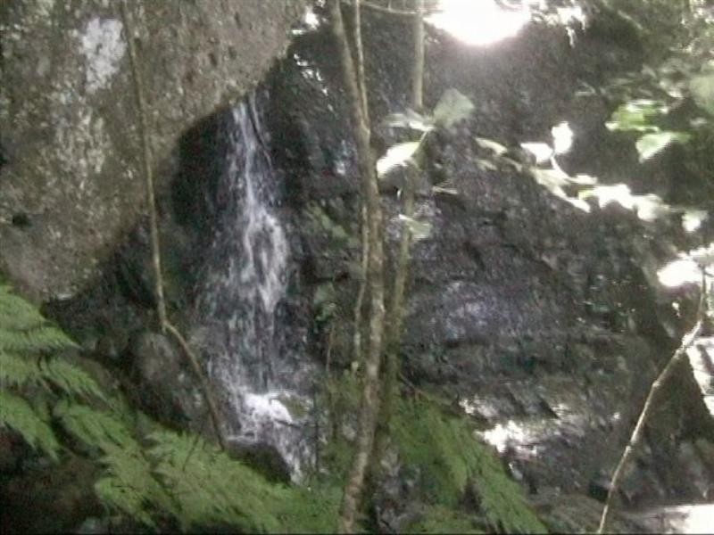 Lot 62 Emu Creek Road, Warwick QLD 4370