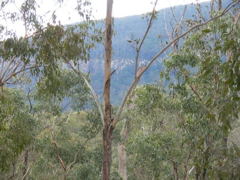 Lot 62 Emu Creek Road, Warwick QLD 4370