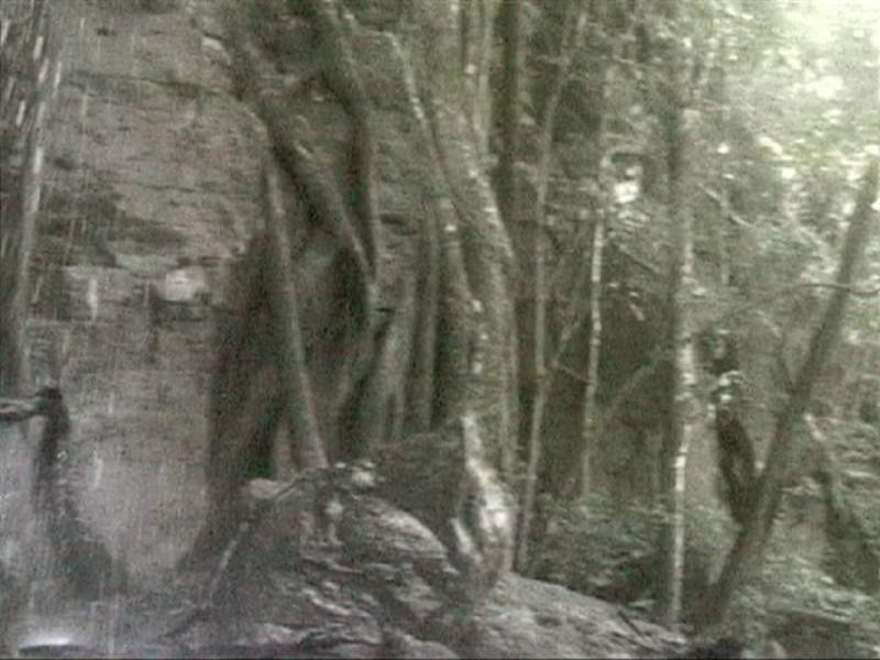 Lot 62 Emu Creek Road, Warwick QLD 4370