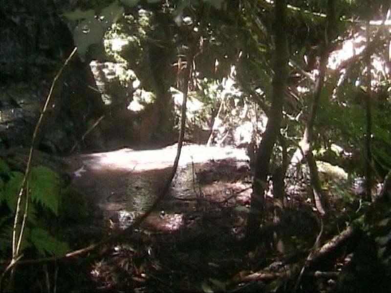 Lot 62 Emu Creek Road, Warwick QLD 4370