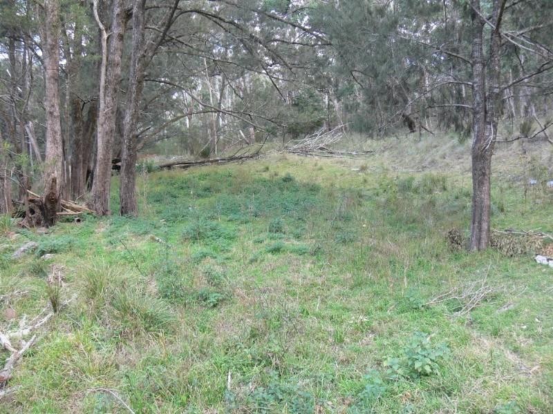 Lot 62 Emu Creek Road, Warwick QLD 4370