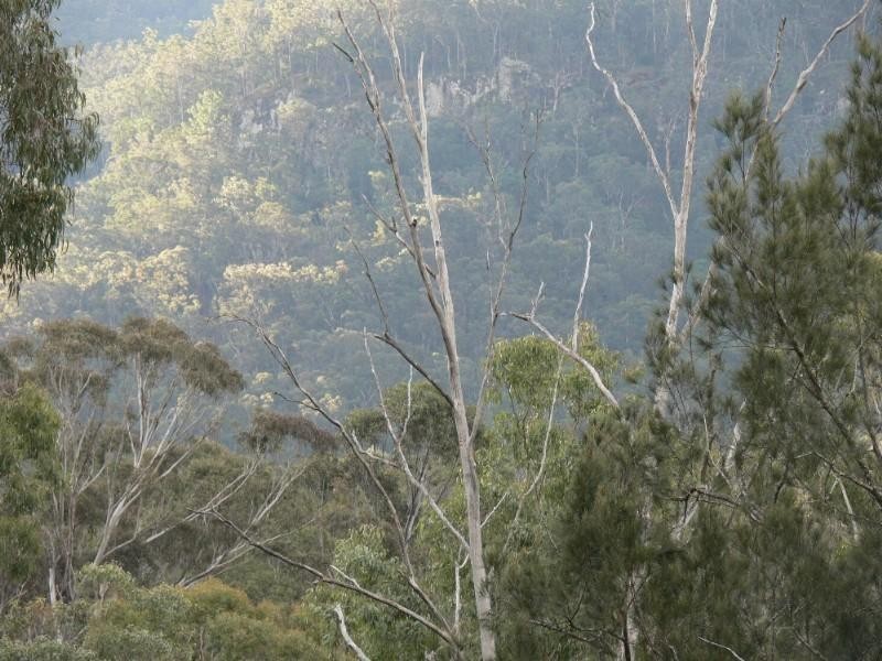 Lot 62 Emu Creek Road, Warwick QLD 4370