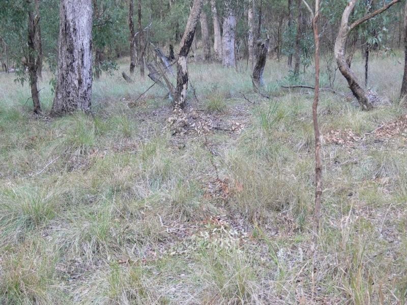 Lot 62 Emu Creek Road, Warwick QLD 4370