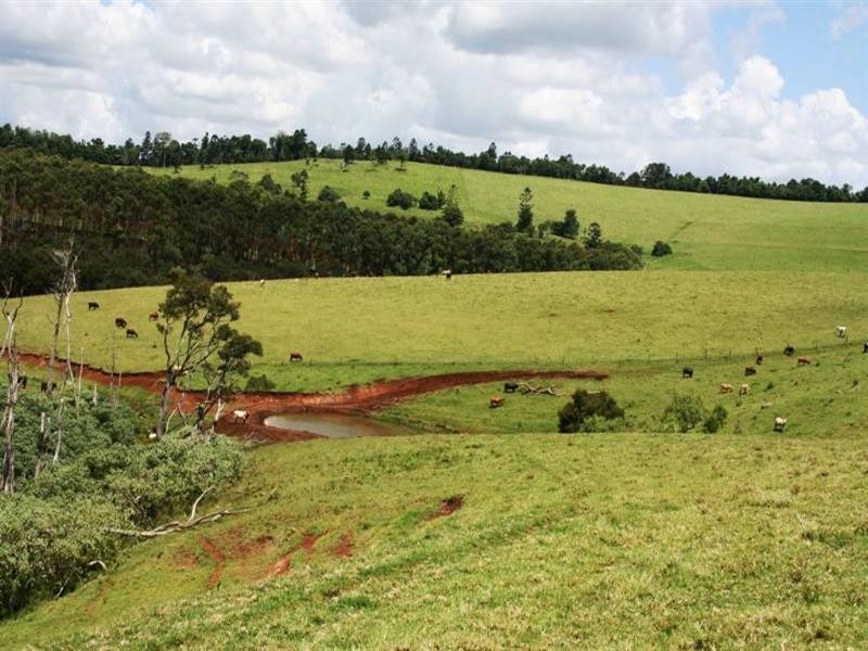 889 Acacia Plateau Road, Killarney QLD 4373