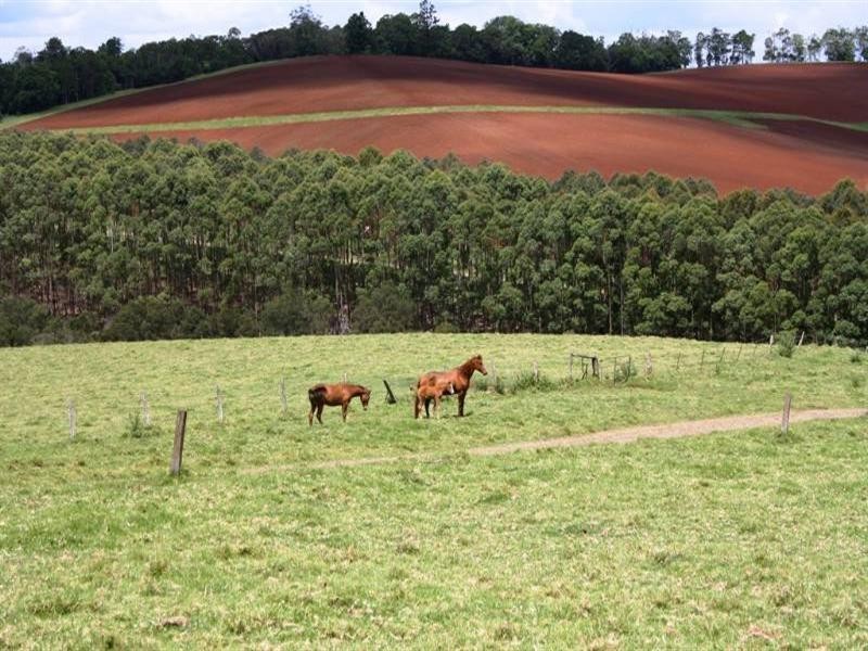 889 Acacia Plateau Road, Killarney QLD 4373