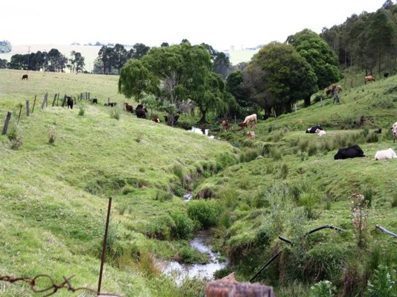 889 Acacia Plateau Road, Killarney QLD 4373