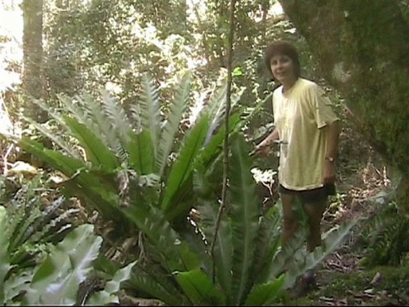 3 & 62 Emu Creek Road, Warwick QLD 4370