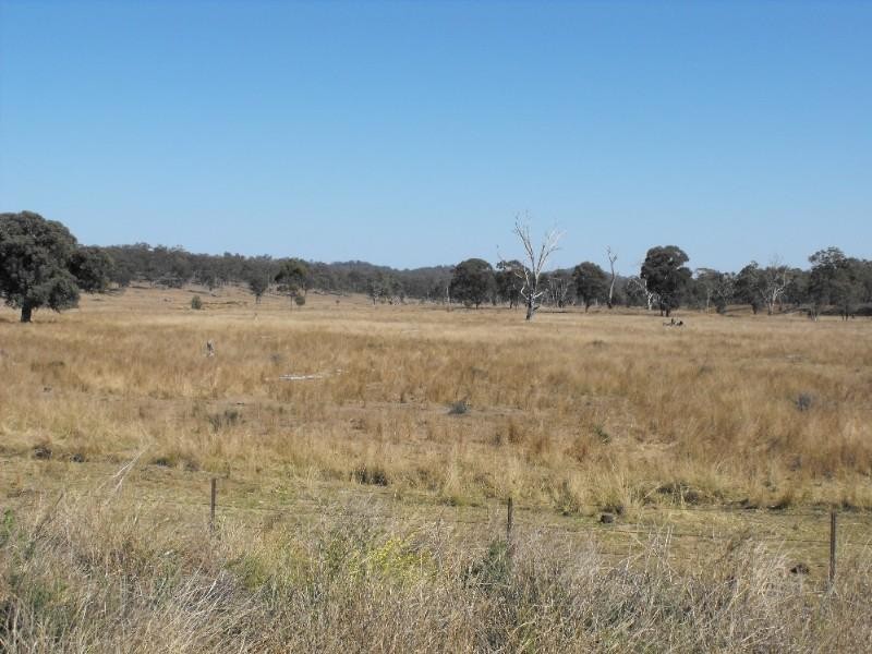 15602 Cunningham Highway, Warwick QLD 4370