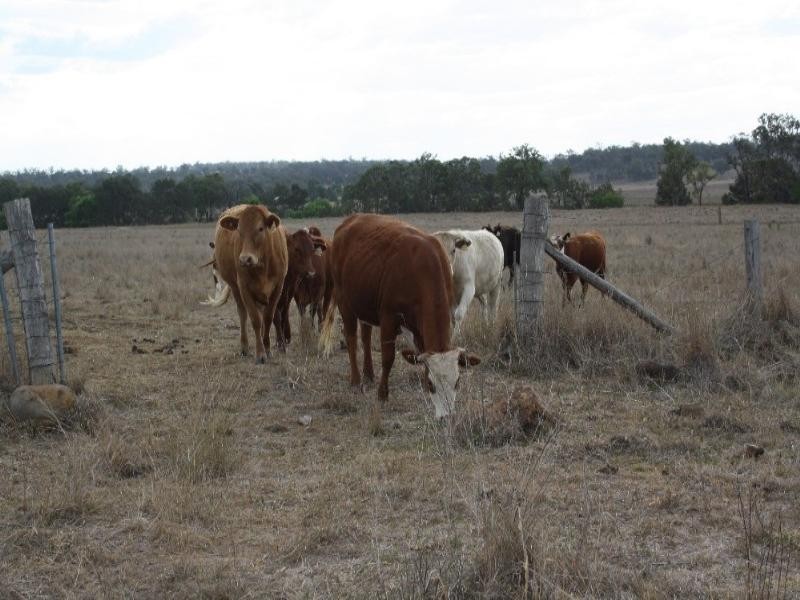 65 Washbourne Road, Warwick QLD 4370